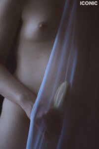 Fallen Innocence - the visual painted by light story